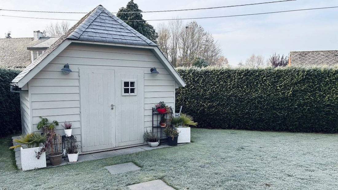Frosty day preparing to get your garden winter ready
