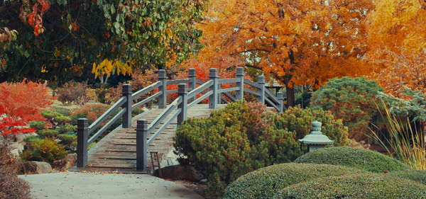 10 Autumn Do's & Don'ts to Keep Your Garden (and Your Sanity) Intact