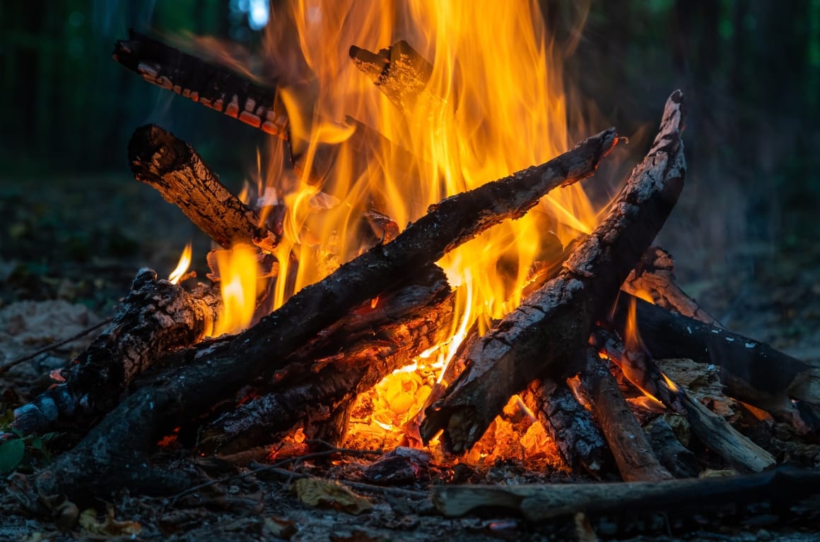 Handy Bonfire Night Garden Checklist