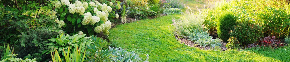 Garden Design: Planning Tips for your Summer Sun Trap!