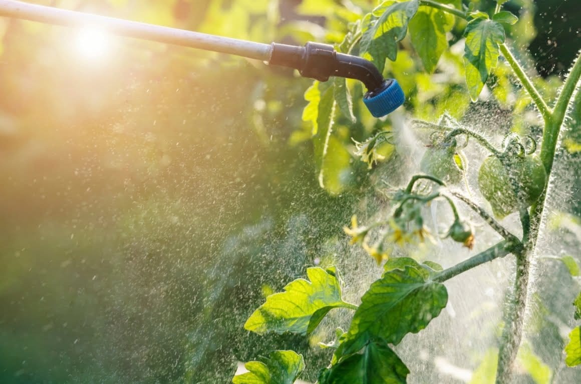 The Use and Impact of Pesticides in UK Gardens