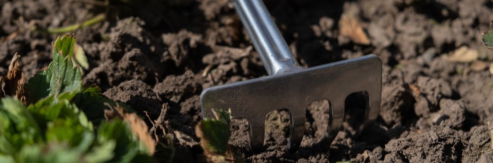 12 Useful Gardening Hacks