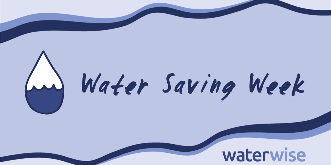 What’s the Best Hose Connector for Water Saving Week 2024?