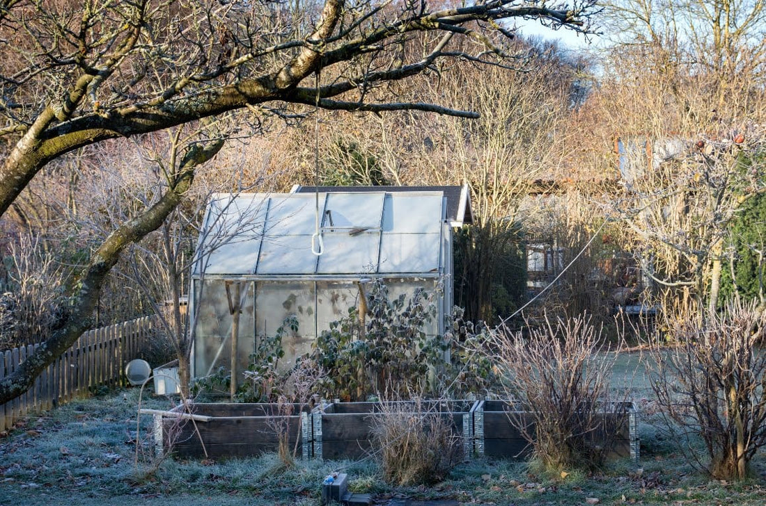 Gardening Trends for the New Year