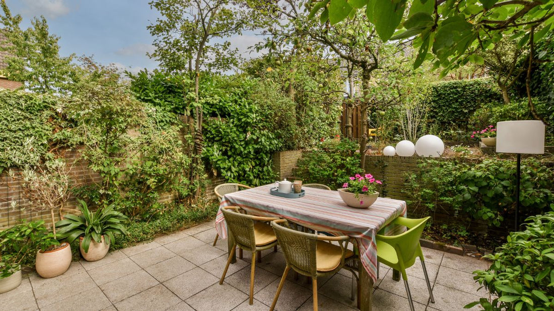 UK garden in early spring ready for spring garden preparation