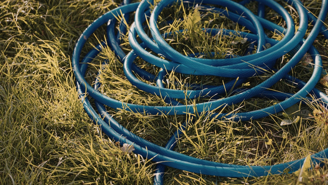 Garden hose and water butt set up for water saving in a UK garden.