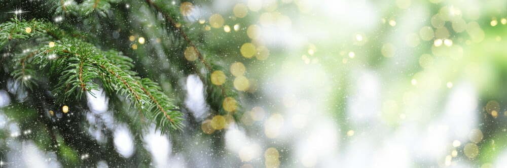 6 Fantastic Ideas for a Tastefully Festive Garden!
