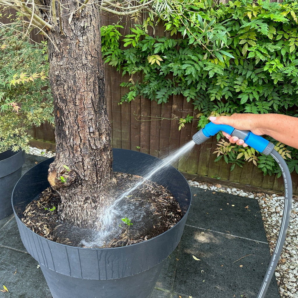 Nozzle Spray End