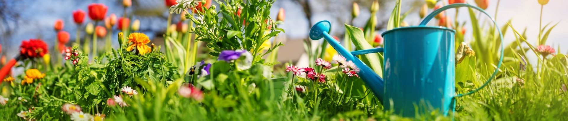 How To Look After Your Garden In Summer | Qwickhose